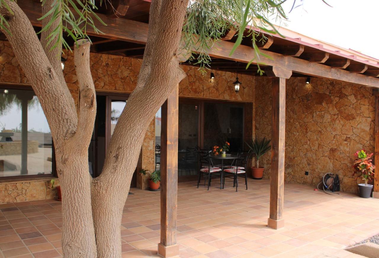 Eco Terra By Sea You There Fuerteventura 푸에르토델로사리오 외부 사진
