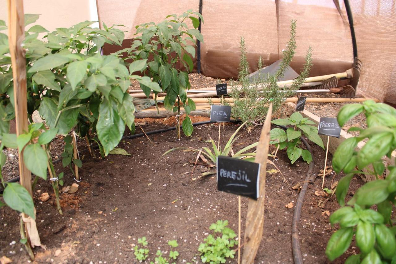 Eco Terra By Sea You There Fuerteventura 푸에르토델로사리오 외부 사진